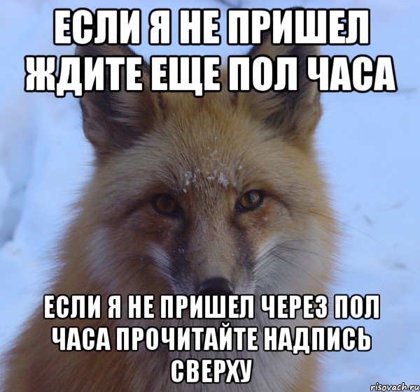 Вернусь часа через 2. Когда клиент не пришел. Сказал приеду. Не ждите меня.