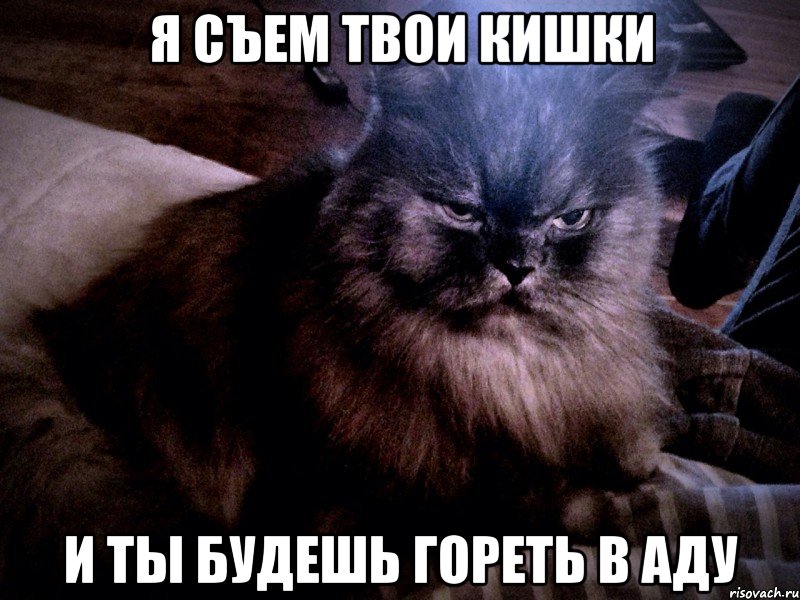 Про съем. Ты будешь гореть в аду. Гори в аду. Ты будешь гореть в аду Мем.