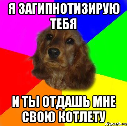 Мем кто котлеты собаке дал все обосрала