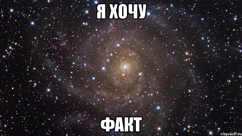 Хочу факты