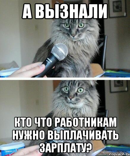 А вызнали Кто что работникам нужно выплачивать зарплату?, Комикс  кот с микрофоном