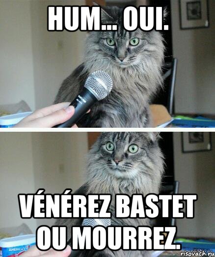 Hum... Oui. Vénérez Bastet ou mourrez., Комикс  кот с микрофоном