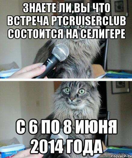 знаете ли,вы что встреча PTcruiserclub состоится на Селигере c 6 по 8 июня 2014 года, Комикс  кот с микрофоном