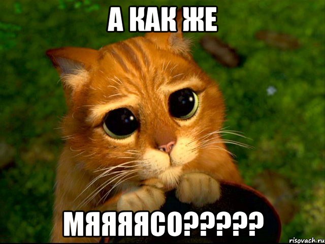 А КАК ЖЕ МЯЯЯЯСО?????, Мем кот из шрека