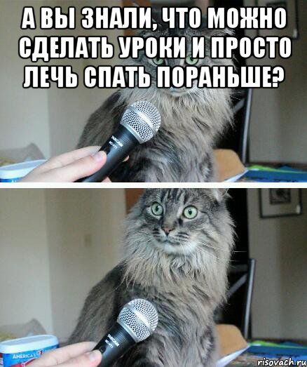 А вы знали, что можно сделать уроки и просто лечь спать пораньше? , Комикс  кот с микрофоном