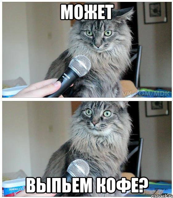 Может выпьем кофе?, Комикс  кот с микрофоном