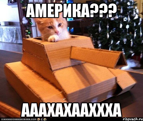 америка??? ааахахааххха, Мем Котэ танкист