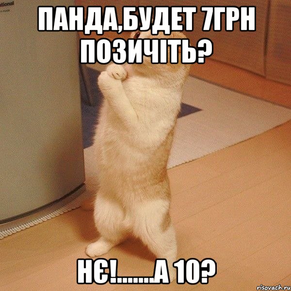 Панда,будет 7грн позичіть? Нє!.......А 10?, Мем  котэ молится