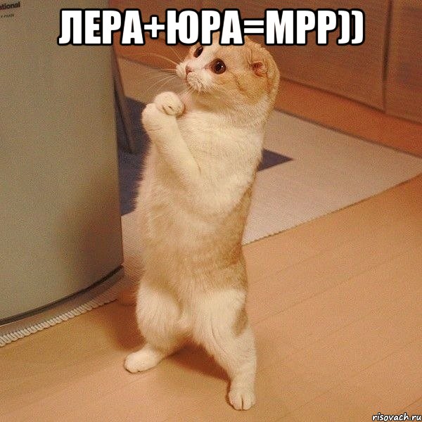 ЛЕРА+ЮРА=мрр)) , Мем  котэ молится