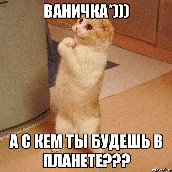 ВАНИЧКА*))) А С КЕМ ТЫ БУДЕШЬ В ПЛАНЕТЕ???, Мем  котэ молится