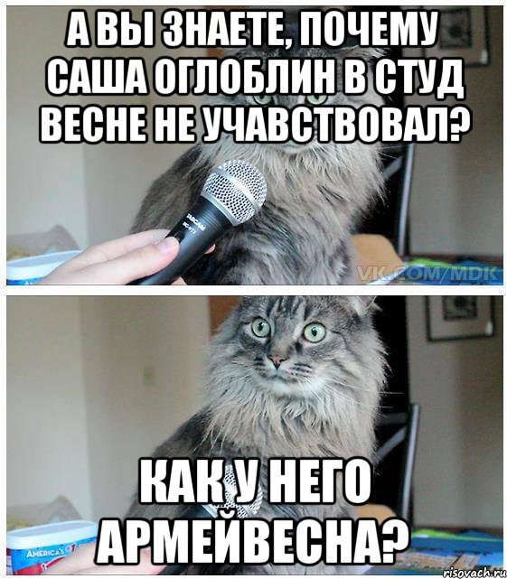 А вы знаете, почему Саша Оглоблин в студ весне не учавствовал? Как у него армейвесна?, Комикс  кот с микрофоном