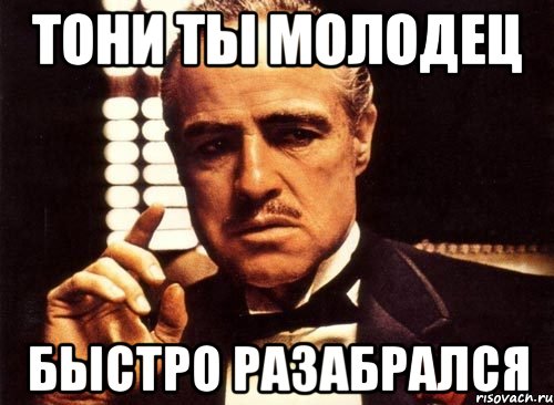 Злой молодец. Антон молодец. Ты молодец Мем. Крестный отец ты молодец. Начальник молодец.