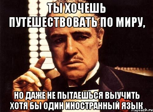 Ты хочешь путешествовать по миру, но даже не пытаешься выучить хотя бы один иностранный язык, Мем крестный отец