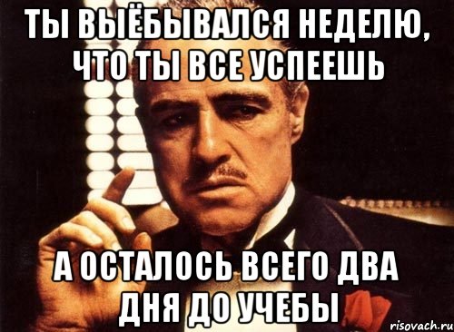 ты выёбывался неделю, что ты все успеешь а осталось всего два дня до учебы, Мем крестный отец