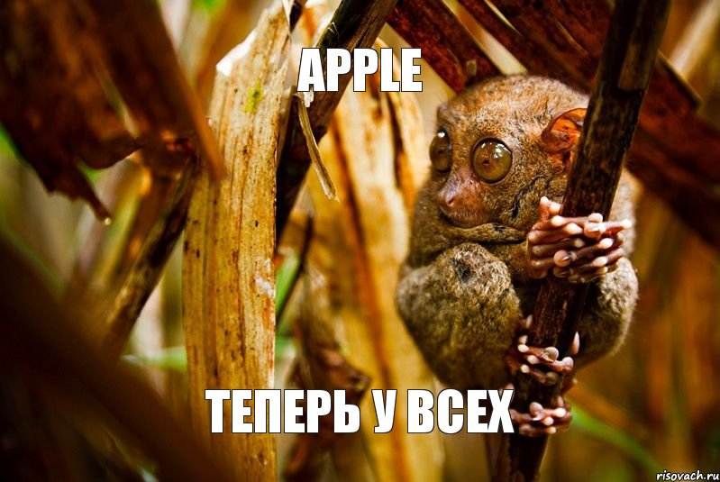 apple теперь у всех, Комикс ленивец