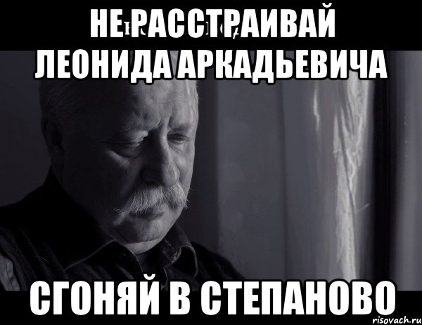 Не расстраивай Леонида Аркадьевича Сгоняй в Степаново, Мем Не расстраивай Леонида Аркадьевича