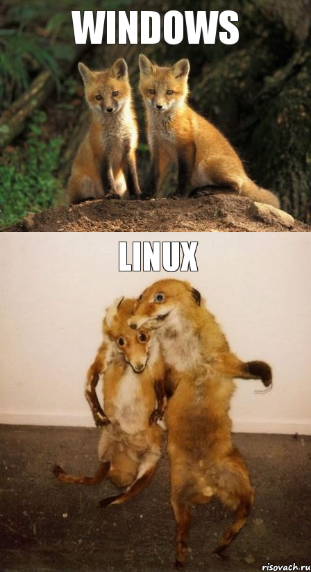 Windows Linux, Комикс Лисицы