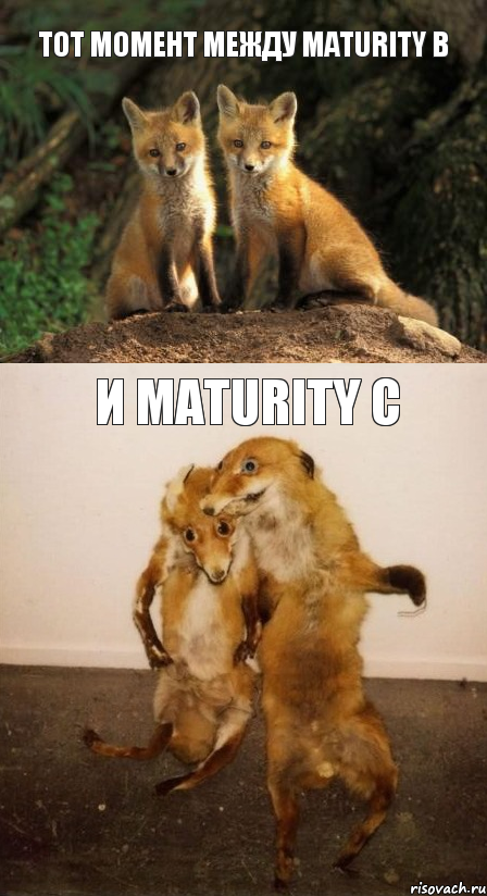 Тот момент между Maturity B И Maturity c, Комикс Лисицы