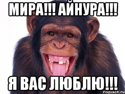 Мира!!! Айнура!!! Я вас люблю!!!, Мем мавпа