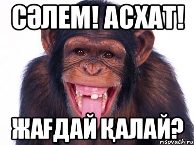 Сәлем! Асхат! Жағдай қалай?