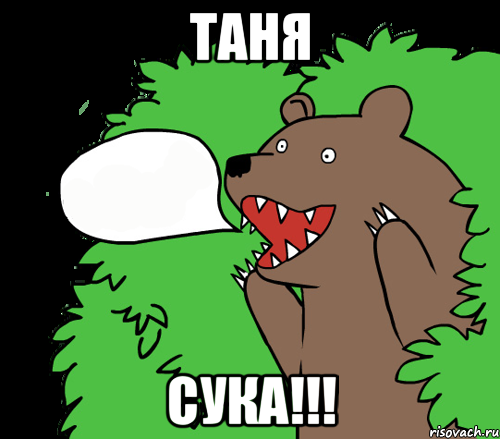 Таня Сука!!!, Комикс медведь из кустов