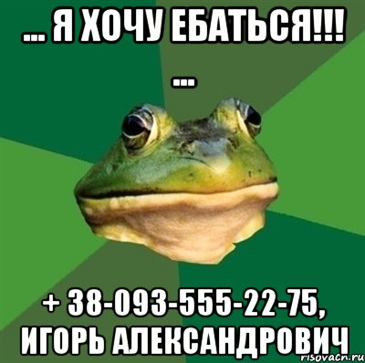 ... Я ХОЧУ ЕБАТЬСЯ!!! ... + 38-093-555-22-75, ИГОРЬ АЛЕКСАНДРОВИЧ, Мем  Мерзкая жаба