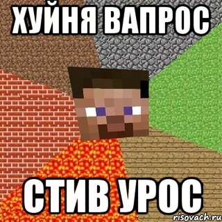 Хуйня вапрос стив урос, Мем Миникрафтер