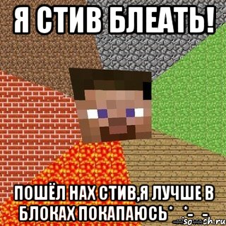 Я стив блеать! Пошёл нах стив,я лучше в блоках покапаюсь*_*-_-, Мем Миникрафтер