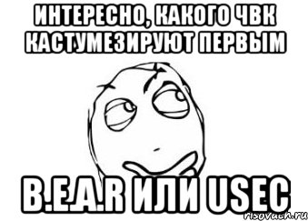 Интересно, какого ЧВК кастумезируют первым B.E.A.R или USEC, Мем Мне кажется или