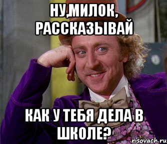 ну,милок, рассказывай как у тебя дела в школе?, Мем мое лицо