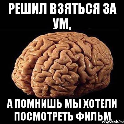 Ум предложение. Мемы про мозг. Взяться за ум. Фразеологизм взяться за ум.