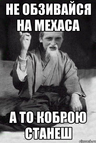 не обзивайся на Мехаса а то коброю станеш, Мем Мудрий паца