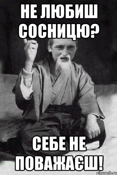 не любиш сосницю? себе не поважаєш!, Мем Мудрий паца