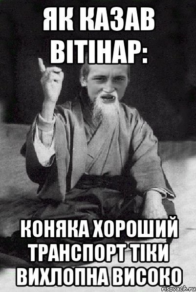 Як казав вітінар: Коняка хороший транспорт тіки вихлопна високо, Мем Мудрий паца