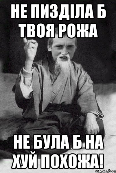 не пизділа б твоя рожа не була б на ХУЙ похожа!, Мем Мудрий паца