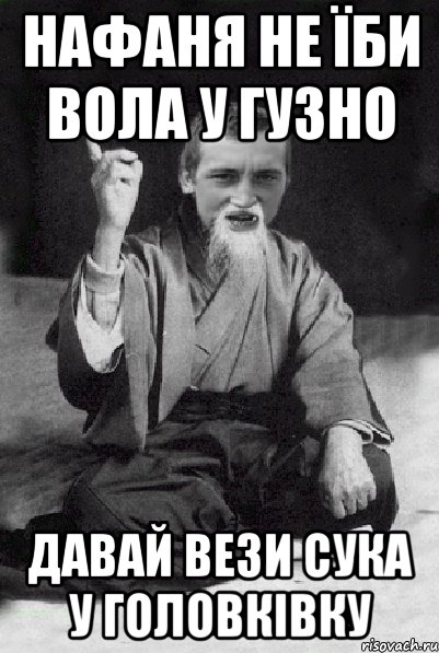 нафаня не їби вола у гузно давай вези сука у головківку, Мем Мудрий паца