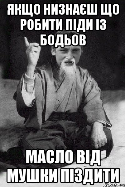 якщо низнаєш що робити піди із бодьов масло від мушки піздити, Мем Мудрий паца