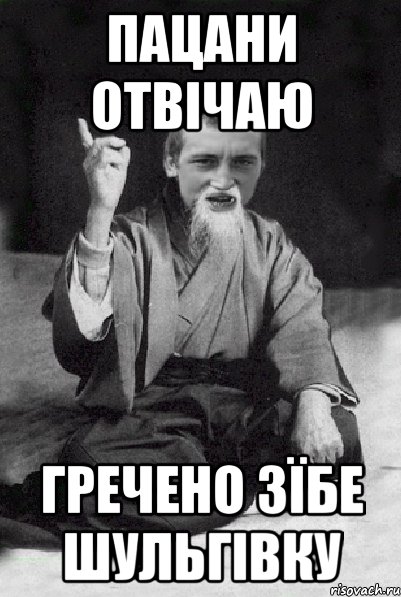 Пацани отвічаю Гречено зїбе Шульгівку, Мем Мудрий паца