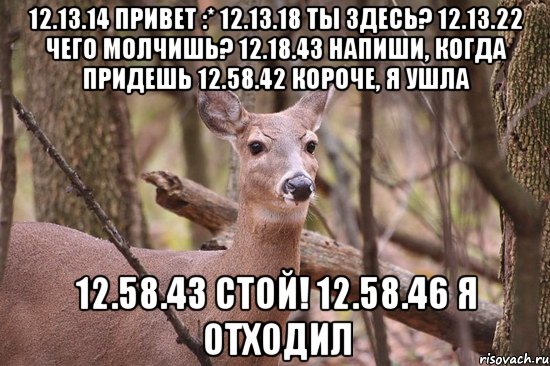 12.13.14 Привет :* 12.13.18 Ты здесь? 12.13.22 Чего молчишь? 12.18.43 Напиши, когда придешь 12.58.42 Короче, я ушла 12.58.43 СТОЙ! 12.58.46 Я отходил, Мем Наивная олениха