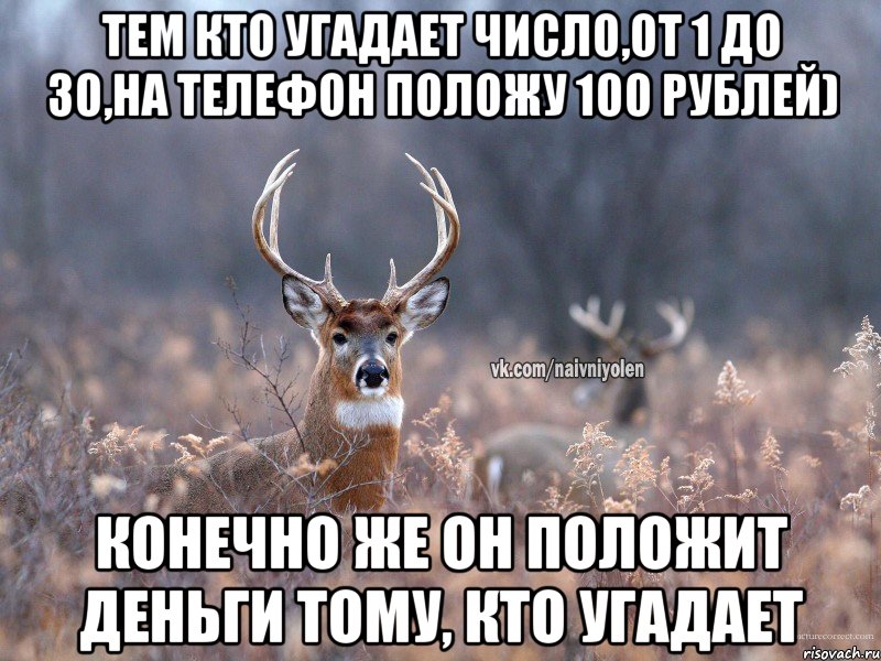 Тем кто угадает число,от 1 до 30,на телефон положу 100 рублей) Конечно же он положит деньги тому, кто угадает, Мем   Наивный олень