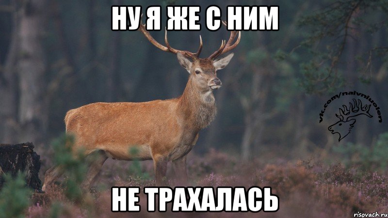 Ну я же с ним не трахалась