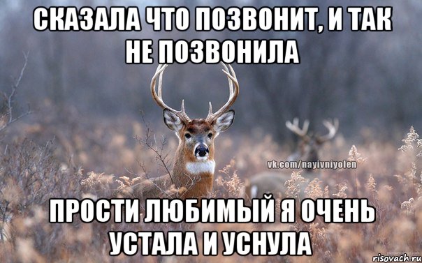 Сказала что позвонит, и так не позвонила Прости любимый я очень устала и уснула, Мем   Наивный олень