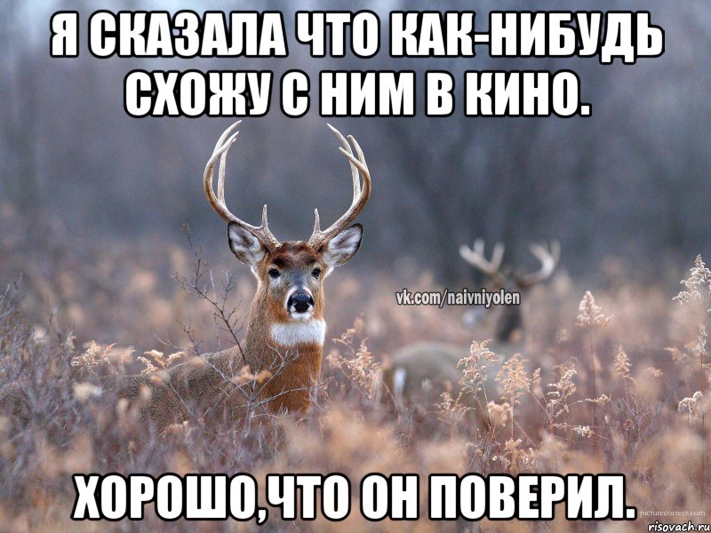 Я сказала что как-нибудь схожу с ним в кино. Хорошо,что он поверил., Мем   Наивный олень