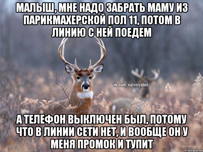 МАЛЫШ, МНЕ НАДО ЗАБРАТЬ МАМУ ИЗ ПАРИКМАХЕРСКОЙ ПОЛ 11, ПОТОМ В ЛИНИЮ С НЕЙ ПОЕДЕМ А ТЕЛЕФОН ВЫКЛЮЧЕН БЫЛ, ПОТОМУ ЧТО В ЛИНИИ СЕТИ НЕТ, И ВООБЩЕ ОН У МЕНЯ ПРОМОК И ТУПИТ, Мем   Наивный олень