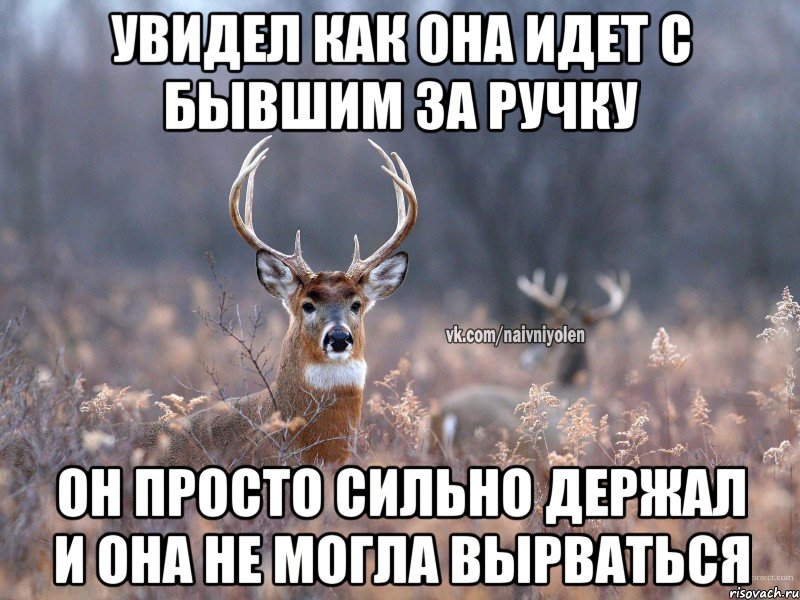 увидел как она идет с бывшим за ручку он просто сильно держал и она не могла вырваться, Мем   Наивный олень