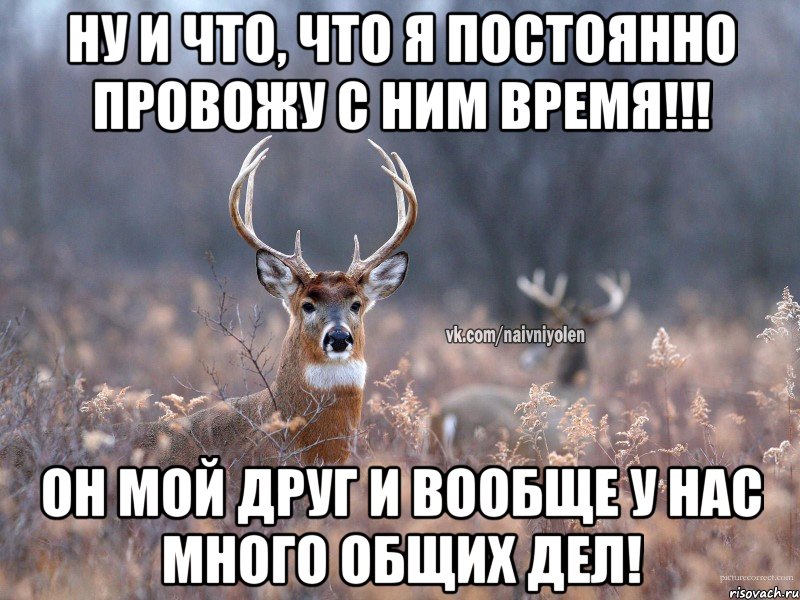 ну и что, что я постоянно провожу с ним время!!! он мой друг и вообще у нас много общих дел!, Мем   Наивный олень