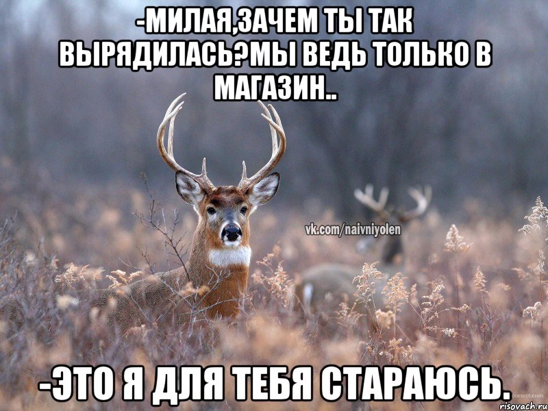 -Милая,зачем ты так вырядилась?Мы ведь только в магазин.. -Это я для тебя стараюсь., Мем   Наивный олень