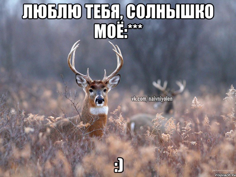 Люблю тебя, солнышко моё:*** :)