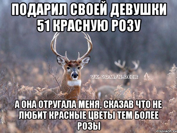 Подарил своей девушки 51 красную розу а она отругала меня, сказав что не любит красные цветы тем более розы, Мем   Наивный олень