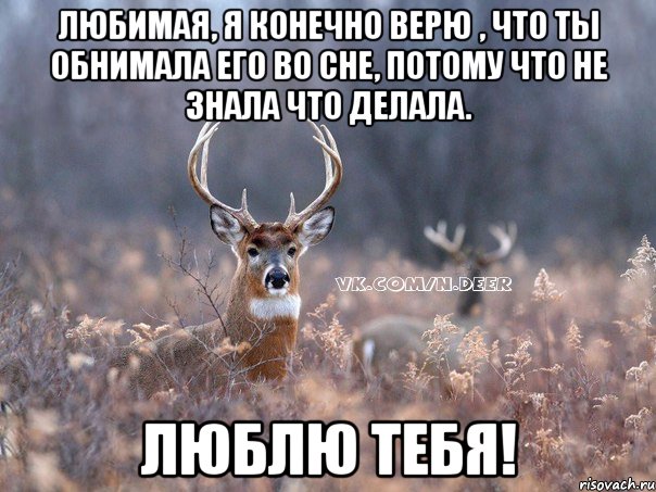 Любимая, я конечно верю , что ты обнимала его во сне, потому что не знала что делала. Люблю тебя!, Мем   Наивный олень